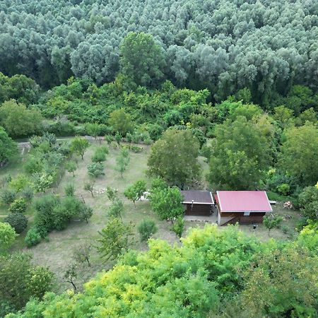 Odmor Za Dusu I Tijelo U Srcu Prirode Villa Aljmaš Buitenkant foto