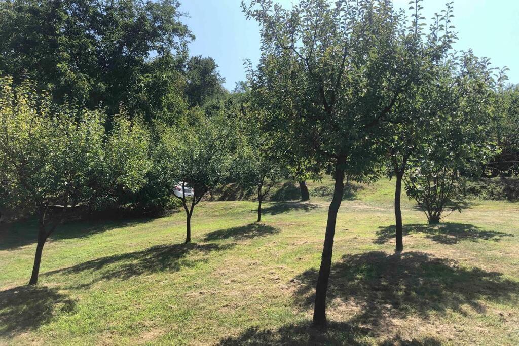 Odmor Za Dusu I Tijelo U Srcu Prirode Villa Aljmaš Buitenkant foto