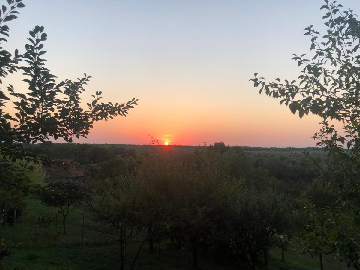 Odmor Za Dusu I Tijelo U Srcu Prirode Villa Aljmaš Buitenkant foto