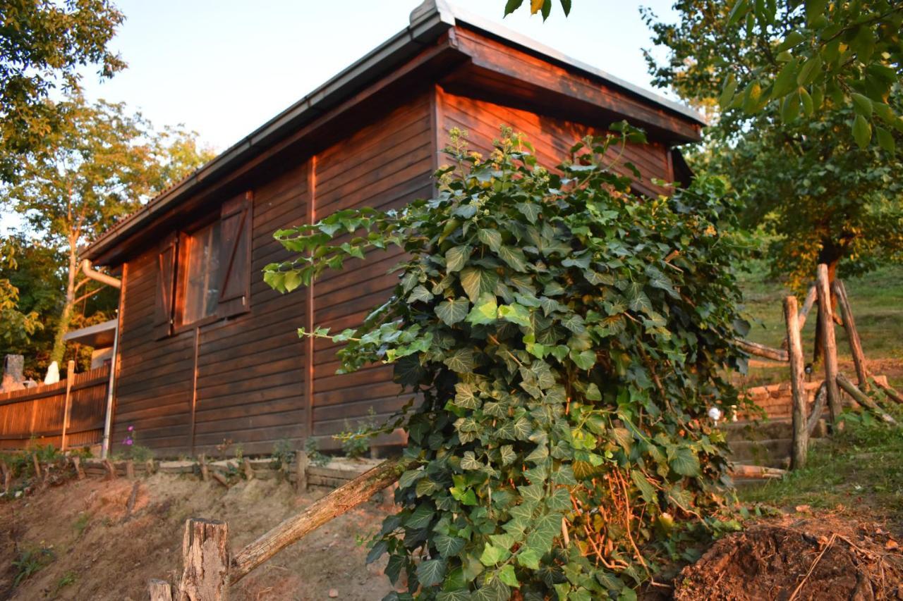 Odmor Za Dusu I Tijelo U Srcu Prirode Villa Aljmaš Buitenkant foto