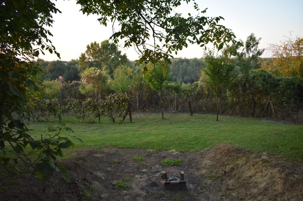 Odmor Za Dusu I Tijelo U Srcu Prirode Villa Aljmaš Buitenkant foto