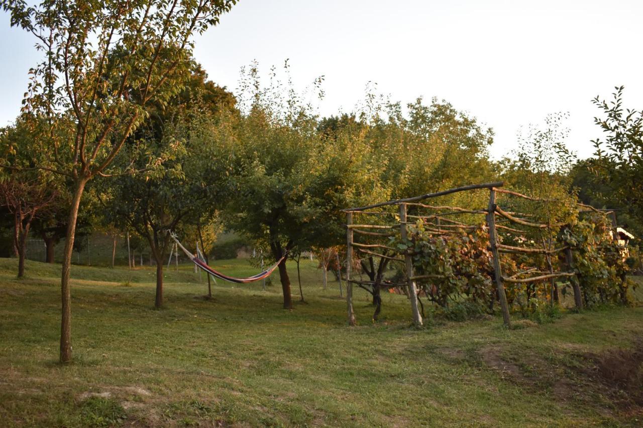 Odmor Za Dusu I Tijelo U Srcu Prirode Villa Aljmaš Buitenkant foto