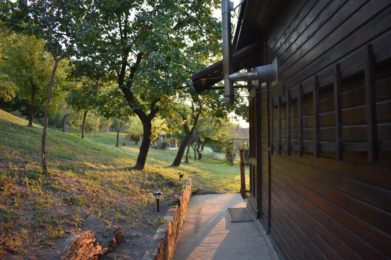 Odmor Za Dusu I Tijelo U Srcu Prirode Villa Aljmaš Buitenkant foto