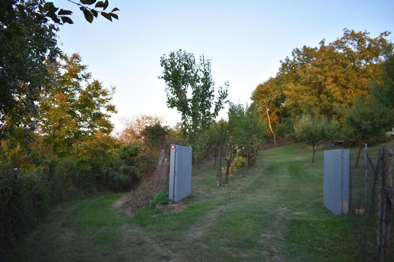 Odmor Za Dusu I Tijelo U Srcu Prirode Villa Aljmaš Buitenkant foto