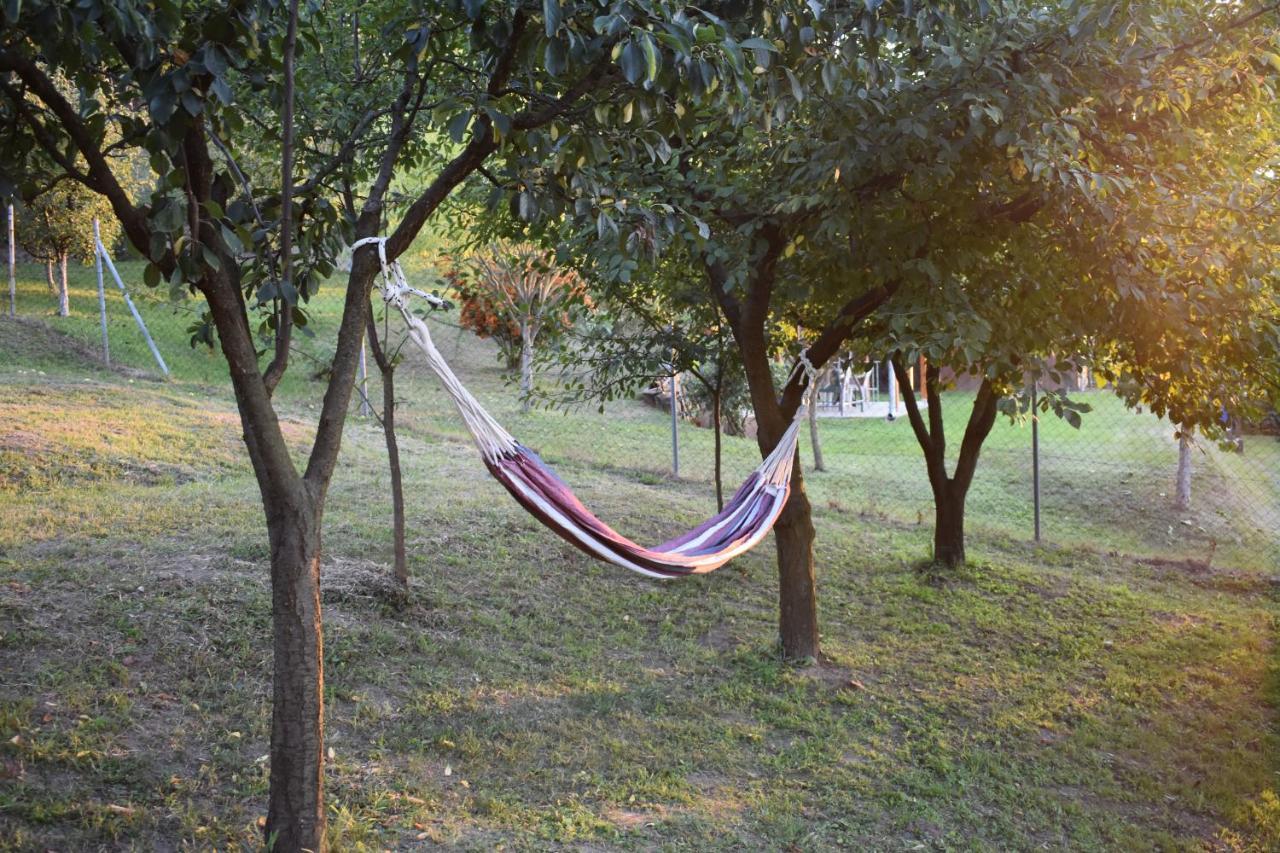 Odmor Za Dusu I Tijelo U Srcu Prirode Villa Aljmaš Buitenkant foto