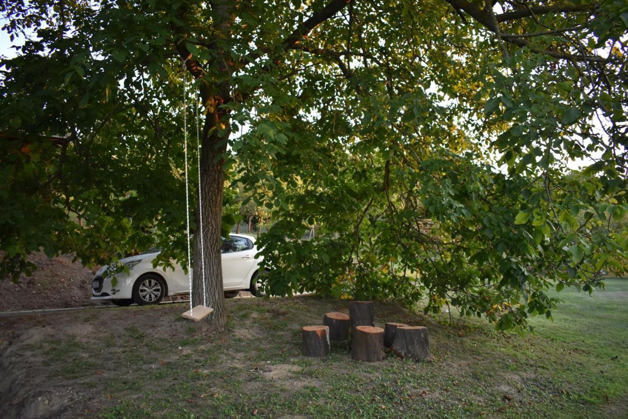 Odmor Za Dusu I Tijelo U Srcu Prirode Villa Aljmaš Buitenkant foto