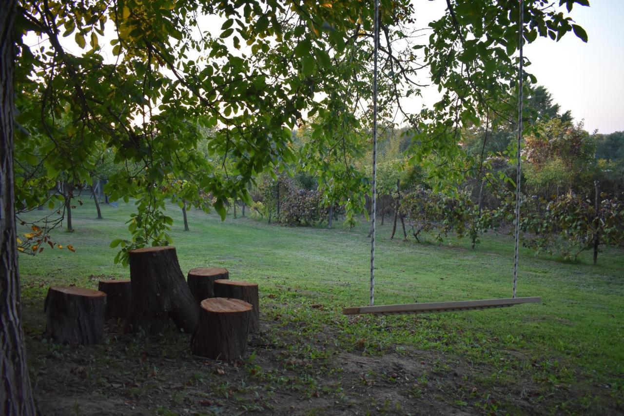 Odmor Za Dusu I Tijelo U Srcu Prirode Villa Aljmaš Buitenkant foto