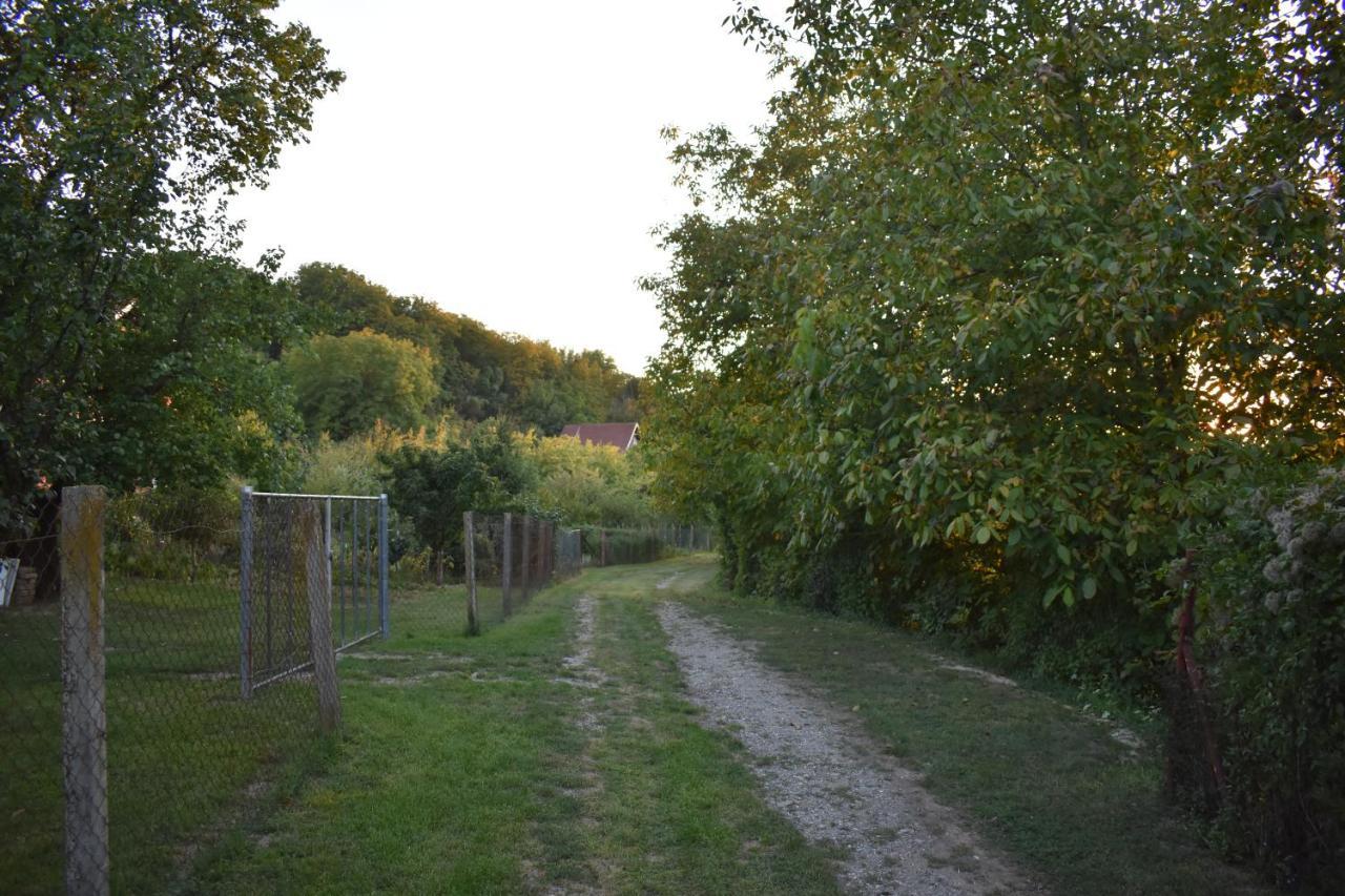 Odmor Za Dusu I Tijelo U Srcu Prirode Villa Aljmaš Buitenkant foto