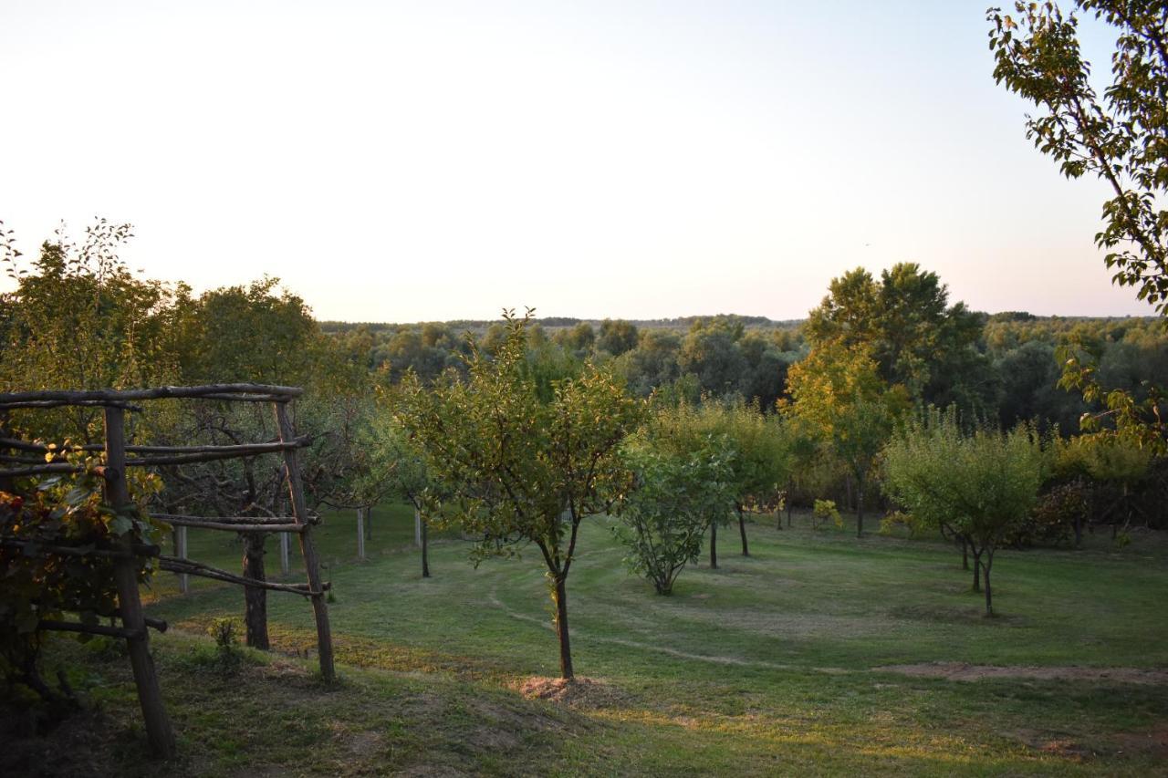 Odmor Za Dusu I Tijelo U Srcu Prirode Villa Aljmaš Buitenkant foto