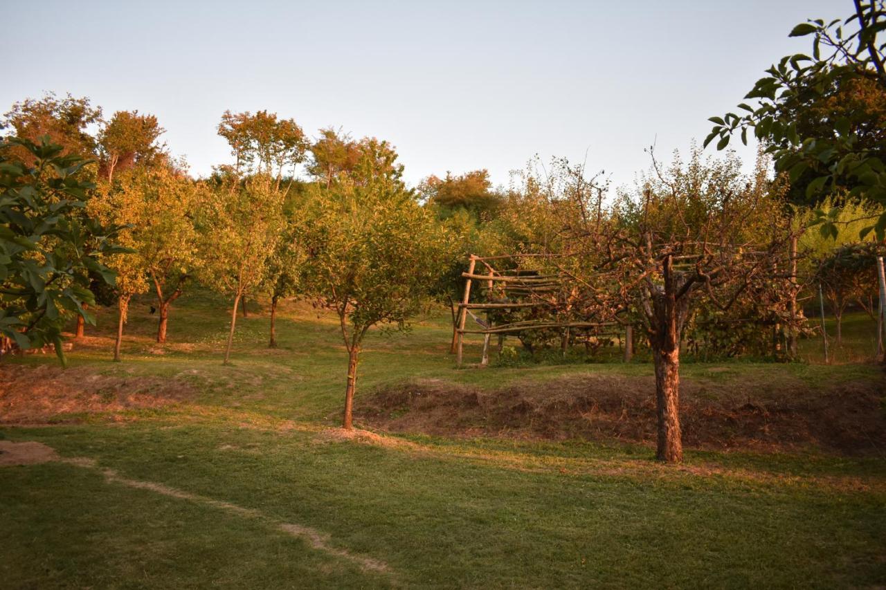 Odmor Za Dusu I Tijelo U Srcu Prirode Villa Aljmaš Buitenkant foto