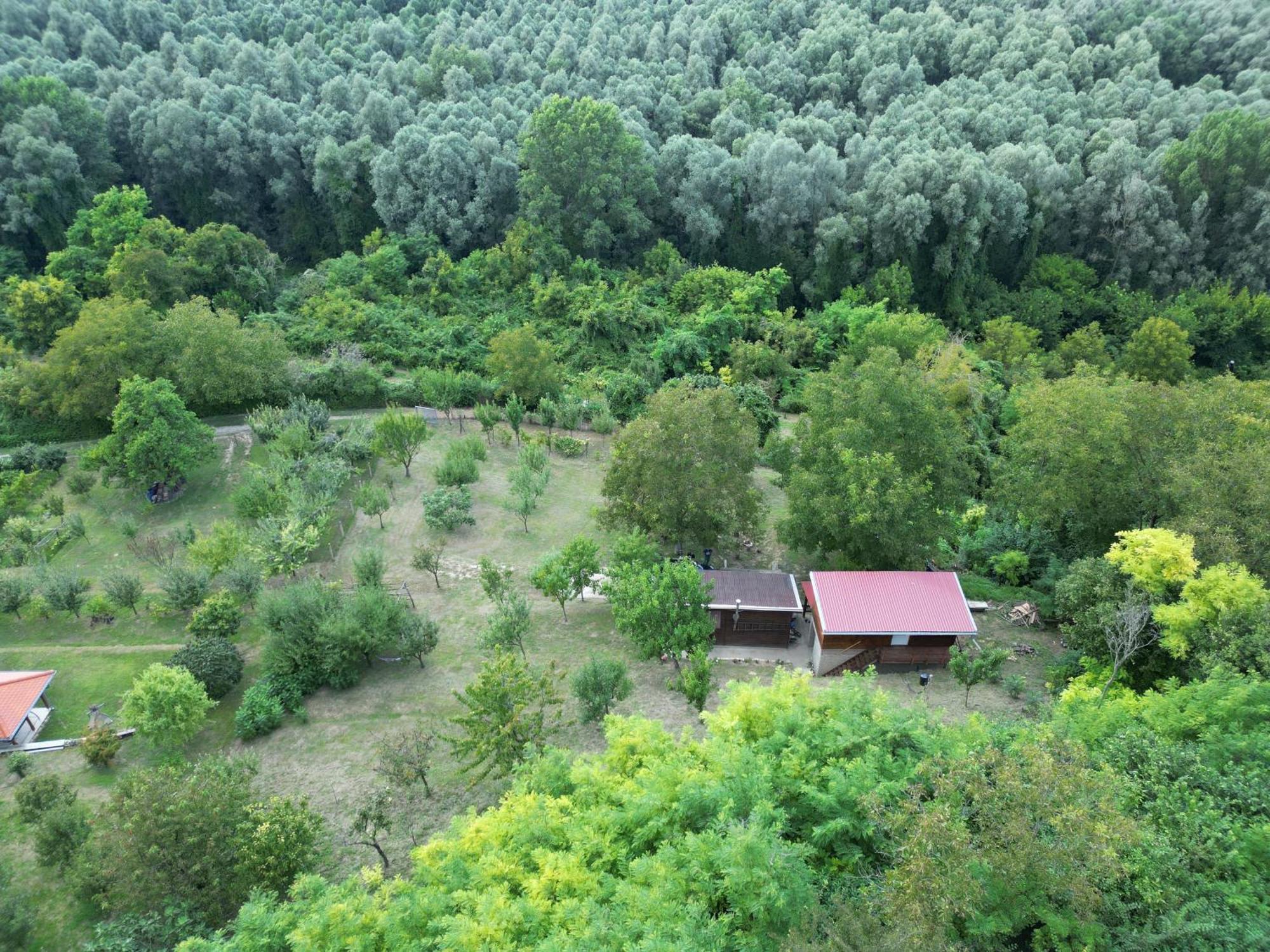 Odmor Za Dusu I Tijelo U Srcu Prirode Villa Aljmaš Buitenkant foto