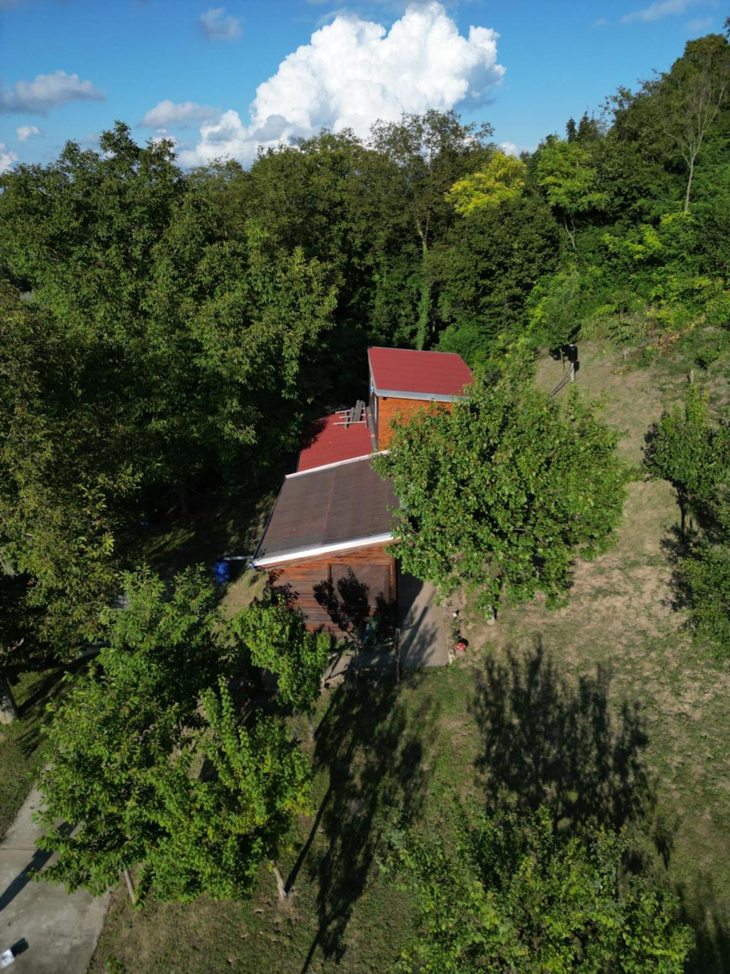 Odmor Za Dusu I Tijelo U Srcu Prirode Villa Aljmaš Buitenkant foto