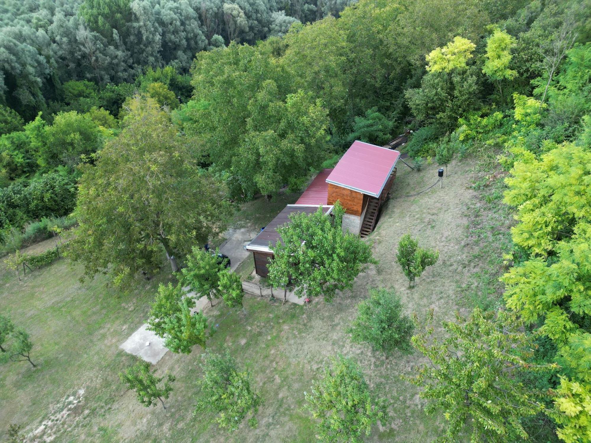 Odmor Za Dusu I Tijelo U Srcu Prirode Villa Aljmaš Buitenkant foto