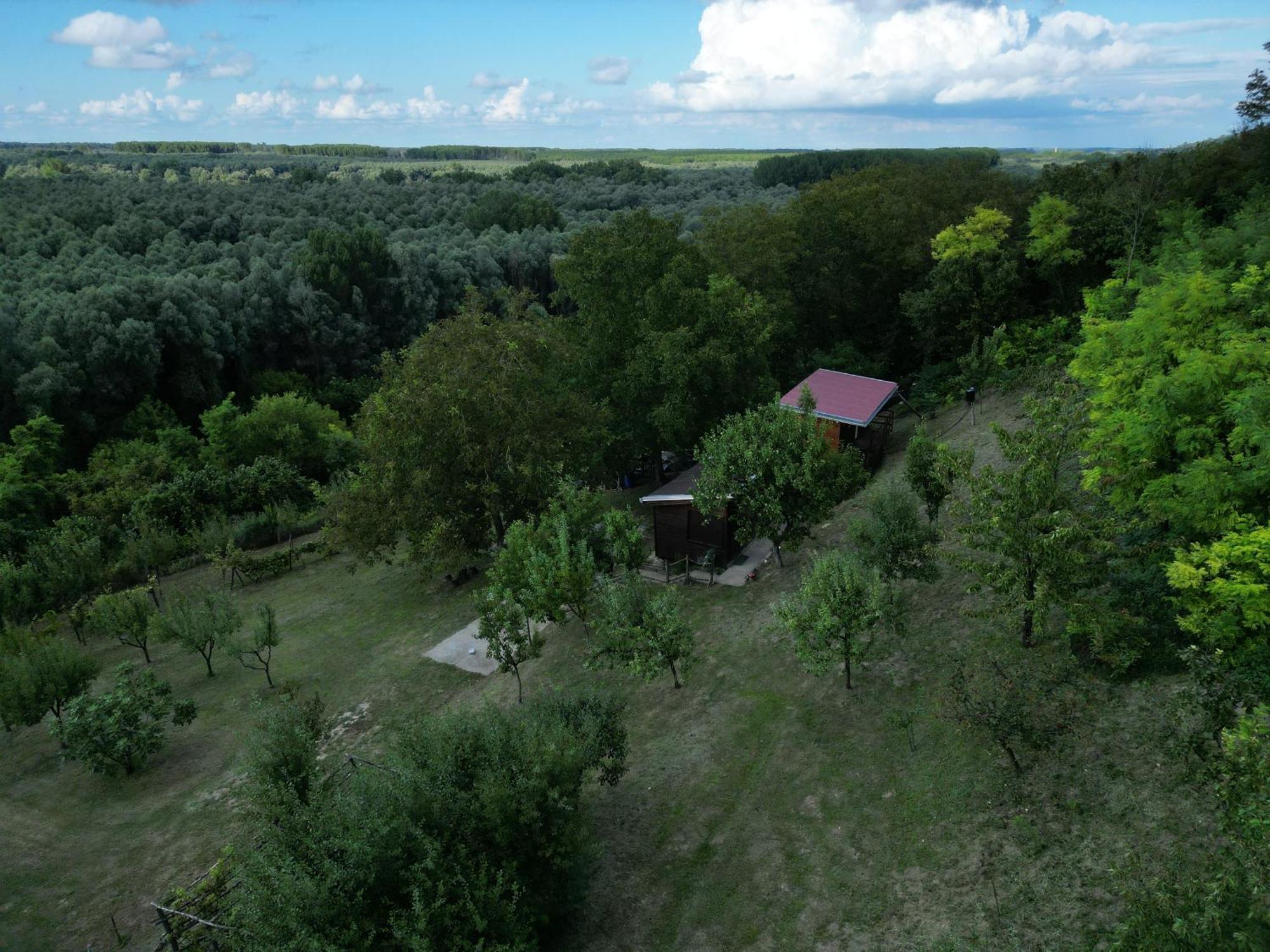 Odmor Za Dusu I Tijelo U Srcu Prirode Villa Aljmaš Buitenkant foto