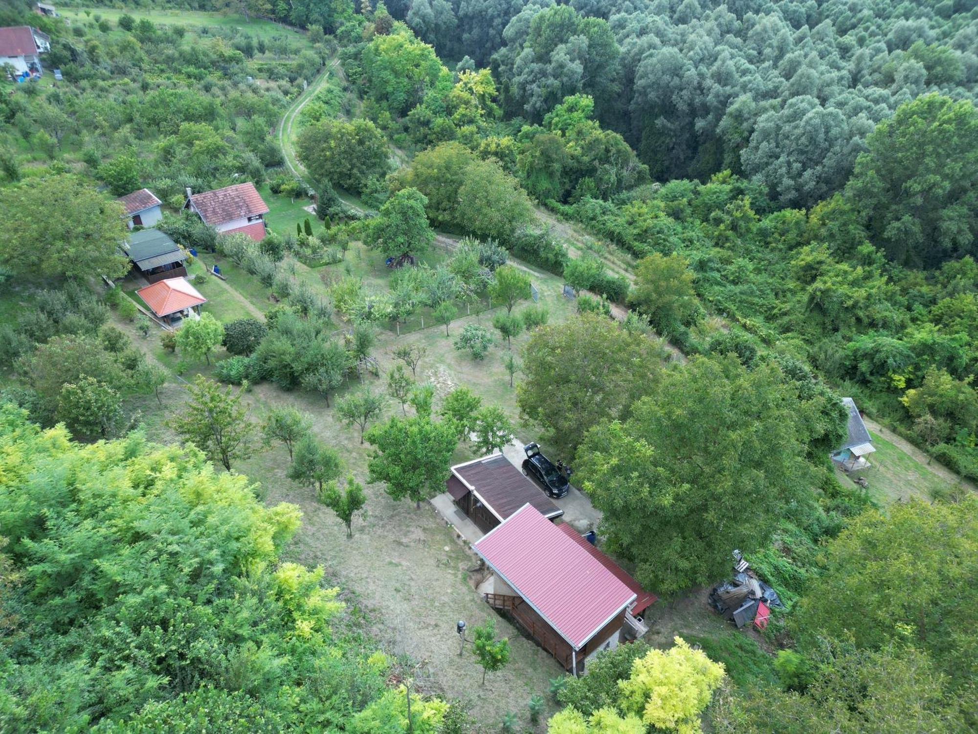 Odmor Za Dusu I Tijelo U Srcu Prirode Villa Aljmaš Buitenkant foto