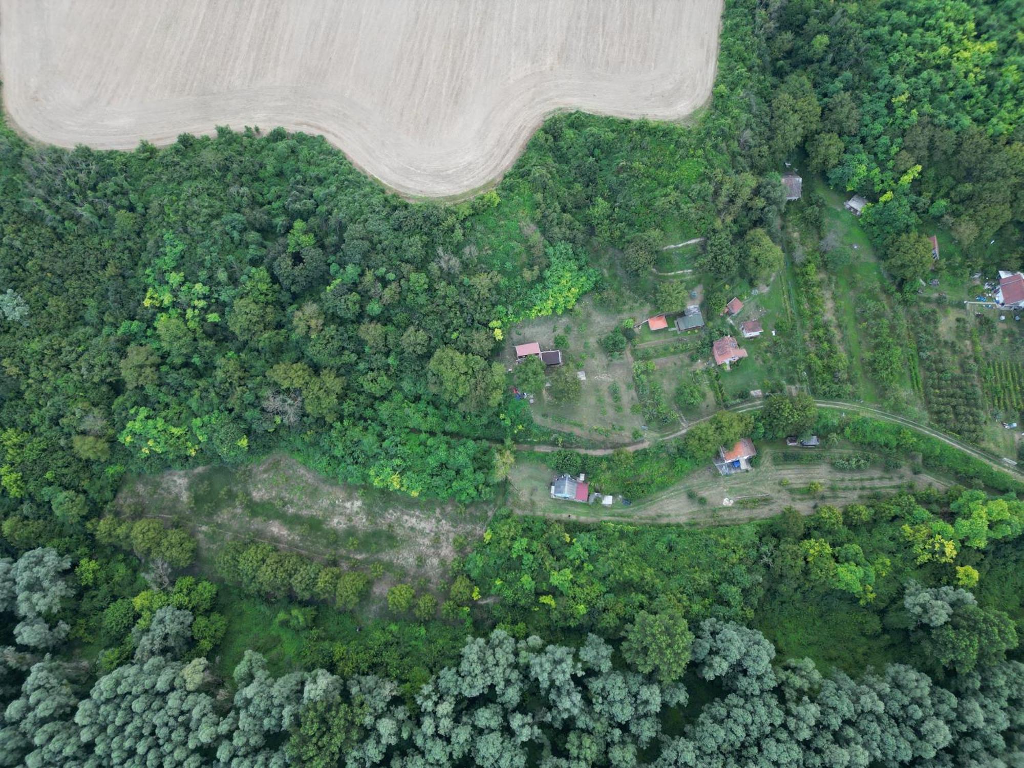 Odmor Za Dusu I Tijelo U Srcu Prirode Villa Aljmaš Buitenkant foto